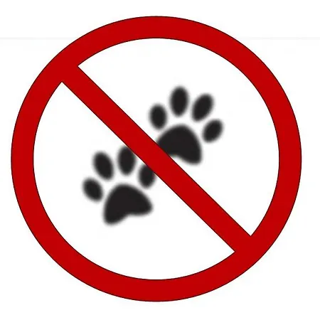 Апартаменты Pier